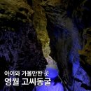영월동로 | 영월 고씨굴 아이와 가볼만한 굿, 동굴 생태관까지 알차게 다녀온 후기