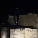 담양스테이 | 전남 담양 애견동반 숙소 추천 까망감스테이 후기