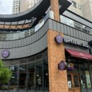 송파 위례 카페 커피빈 메뉴 다이어트 음료 수박주스 고창/함안 비교 칼로리 가격(애견 동반 가능)