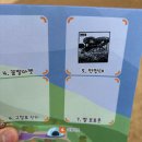 꽃향기 가득 천 채색화 | 경남 거창 아스타국화 감악산 꽃별여행 보랏빛 노을 축제 다녀온 솔직 후기🌸