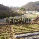 연 농장 이미지