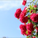 맑음터공원-B 이미지