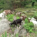 대굴령마을 이미지