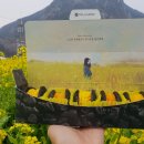 금강렌트카 이미지