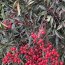 남천유치원 이미지