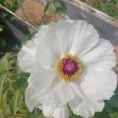 태농농장 이미지