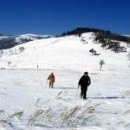 미래로목장 이미지