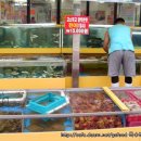 광어9900 이미지