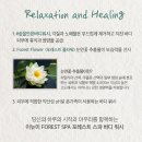 이뉴 이미지
