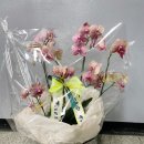 남양주별내119안전센터 이미지