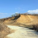 대지 행정사사무소 이미지