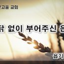 12월 4일(월) 까닭 없이 주신 은혜 이미지