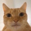 케이꾸