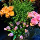 오안목장 | 즐거웠던 1월. 벌써 2020년 보낸 기분 무야? •ܫ•