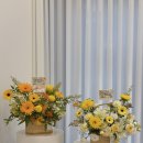 가온꽃집 | 세종 꽃집 소이화 ㅣ 요즘 가장 많이 찾는 해바라기 꽃바구니, 사장님픽 모음🌻