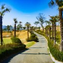 무안 클린벨리 CC 이미지