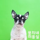 뭉치네 미용실 이미지