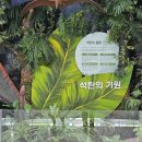 문경 에코랄라(석탄박물관 포함) | 문경 가볼만한곳 실내 여행 에코월드 에코랄라 석탄박물관