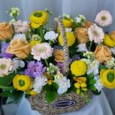 한샘플라워 이미지