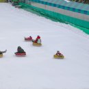 광주패밀리랜드 카라반캠핑장 이미지