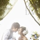 데이스튜디오 이미지