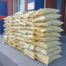 남울진농협 온정지점 이미지