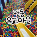 남일약방 | 안동 유교 랜드 솔직 후기, 실내 아이랑 가볼 만한 곳