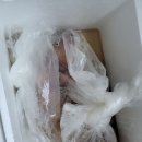 택배(곰치1마리 3kg) 이미지