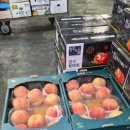 신선청과 이미지