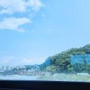 페로어페로 - 창원시 진해구 웅천동로1번길 34-8 | 페로어페로