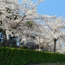 강릉별이빛나는밤에펜션 이미지