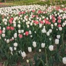 아이숲어학원 이미지