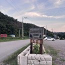 군청 메타세콰이어길 | 영덕메타세콰이어 | 숲속 힐링 명소 산책하기