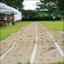 낙동초교병설유치원 이미지