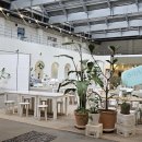 크레용커피컴퍼니 | 화성아이랑카페 꿀팁/롤링힐스카페] 포토존과 무료 볼풀장있는 욕실컨셉 화성대형카페 로얄엑스클럽