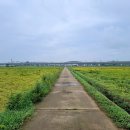 평궁사거리 이미지