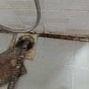 천년나무1단지 이미지