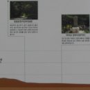 효자마을 이미지