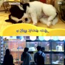 현아농장 이미지