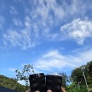 대이산매점