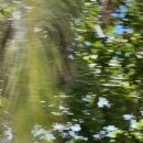 4인4색 | 4인 4색 오키나와 여행기 (part.3)오키나와도넛 미츠야혼포, 오키나와소바 스로야