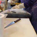 부두회수산 이미지