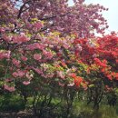 완산-18 이미지