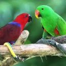 신락어린이공원 이미지