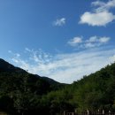 천태산주차장 이미지