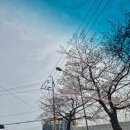 꼼꼼디테일샵