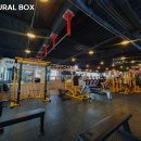 Natural Box 이미지