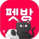 강아지song 이미지