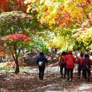 그린좌대2 낚시터 이미지