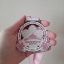 세세 | 제2회 한강벚꽃마라톤 10km로 첫 마라톤 신청부터 러닝까지 세세한 후기!